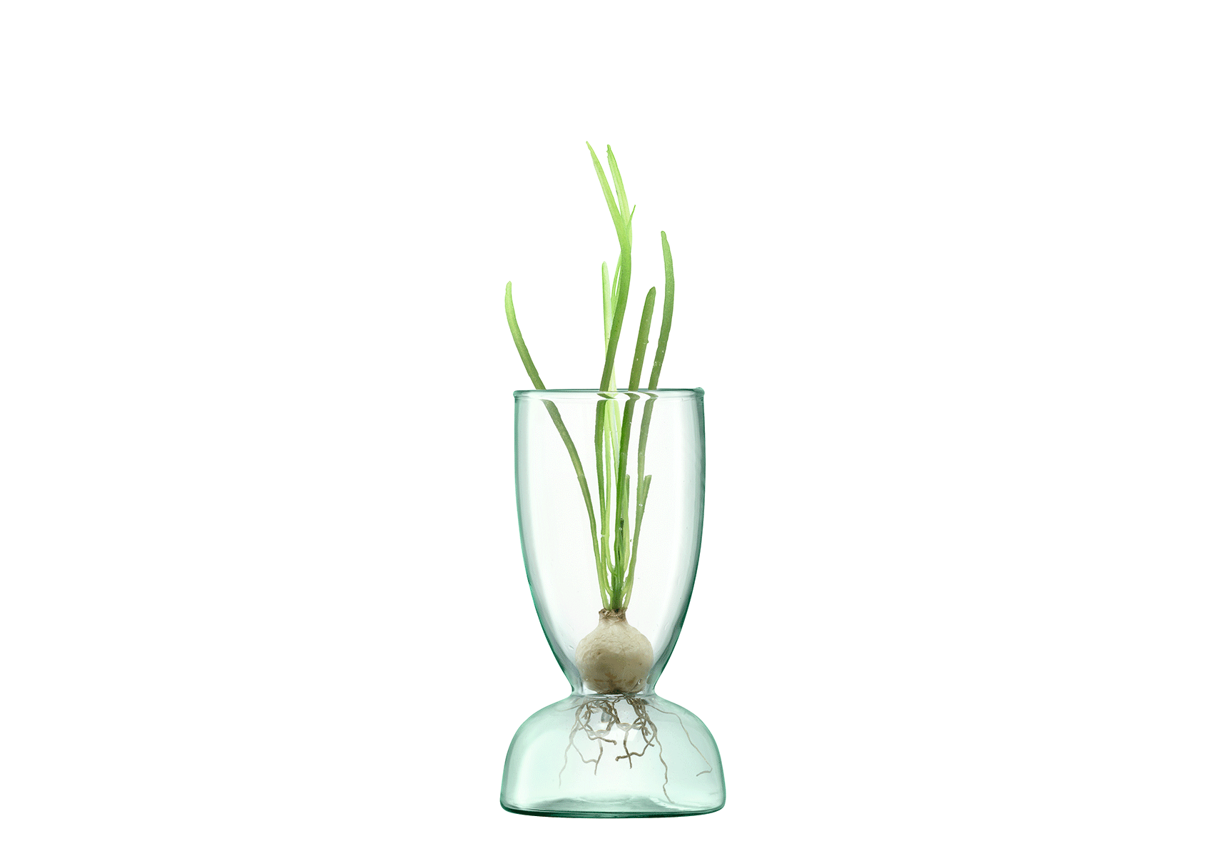 LSA (エルエスエー）- CANOPY VASE S2 ﾌﾗﾜｰﾍﾞｰｽ(VASE S2): 生活雑貨